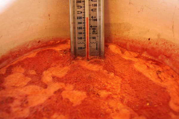 Recetas de mermelada de grosellas