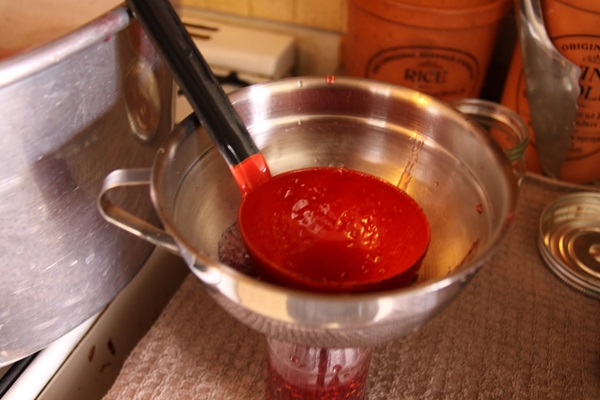 Recetas de mermelada de grosellas
