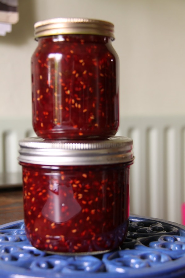 Recetas de mermelada de grosellas