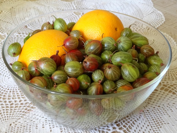 Recetas de mermelada de grosellas