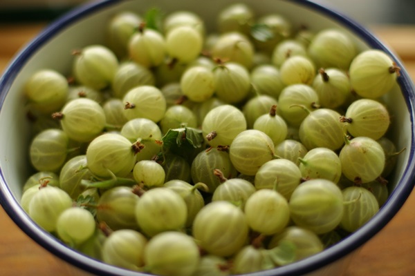 Recetas de mermelada de grosellas