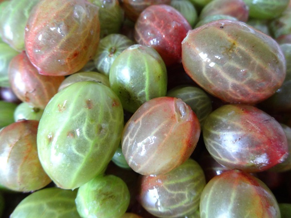 Recetas de mermelada de grosellas