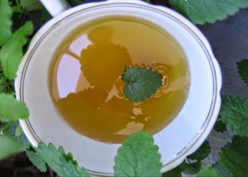 Conservas de menta clásicas