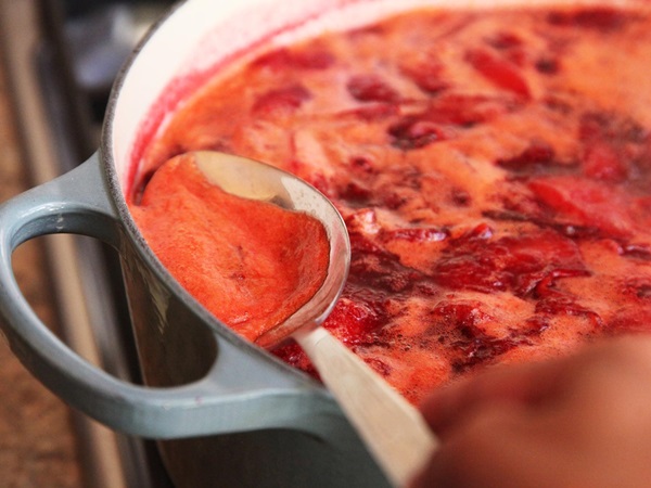 Cómo preparar mermelada de una ciruela con una piedra y sin hueso - recetas simples