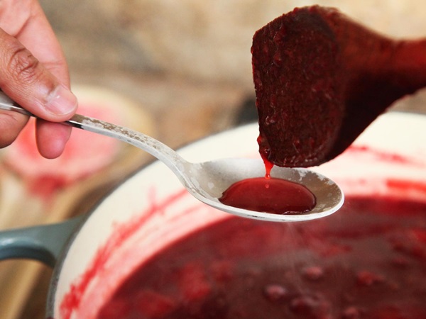 Cómo preparar mermelada de una ciruela con una piedra y sin hueso - recetas simples