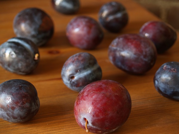 Cómo preparar mermelada de una ciruela con una piedra y sin hueso - recetas simples