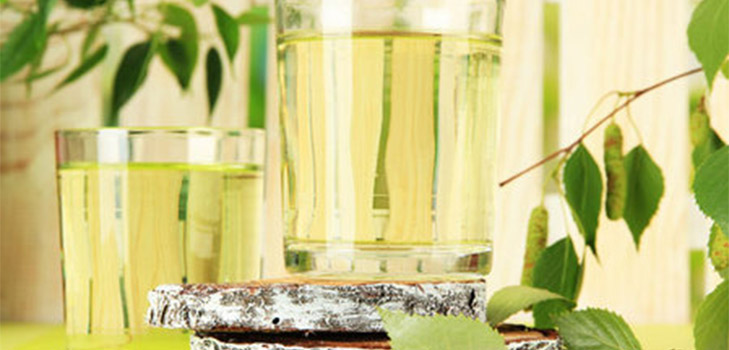 Una receta antigua para el vino de la savia de abedul