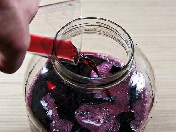 Vino casero de chokeberry