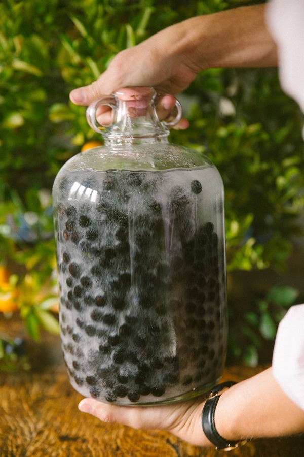 Vino casero de chokeberry