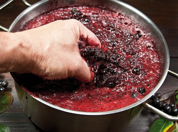 Vino casero de chokeberry