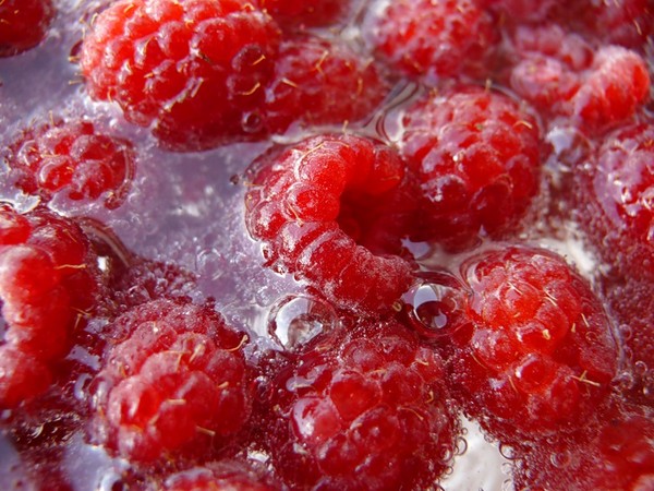 Vino de frambuesa en casa - recetas simples