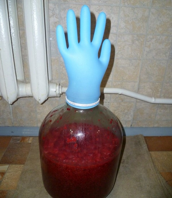 Vino de frambuesa en casa - recetas simples