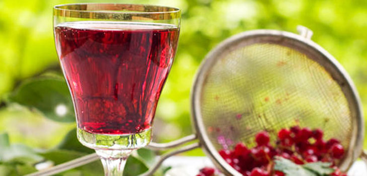 Vino de la grosella en el hogar: negro, blanco, rojo, sin levadura y con ellos. Recetas sencillas y tradicionales de vino de casa color grosella Vino de la grosella en el hogar: negro, blanco, rojo, sin levadura y con ellos. Recetas sencillas y tradicionales de vino de casa color grosella