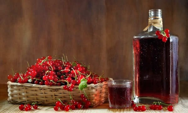 Vino de la grosella en el hogar: negro, blanco, rojo, sin levadura y con ellos. Recetas sencillas y tradicionales de vino de casa color grosella Vino de la grosella en el hogar: negro, blanco, rojo, sin levadura y con ellos. Recetas sencillas y tradicionales de vino de casa color grosella
