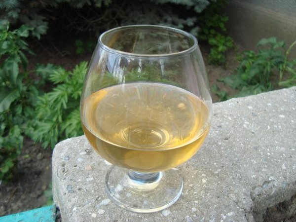 Vino de la grosella en el hogar: negro, blanco, rojo, sin levadura y con ellos. Recetas sencillas y tradicionales de vino de casa color grosella Vino de la grosella en el hogar: negro, blanco, rojo, sin levadura y con ellos. Recetas sencillas y tradicionales de vino de casa color grosella