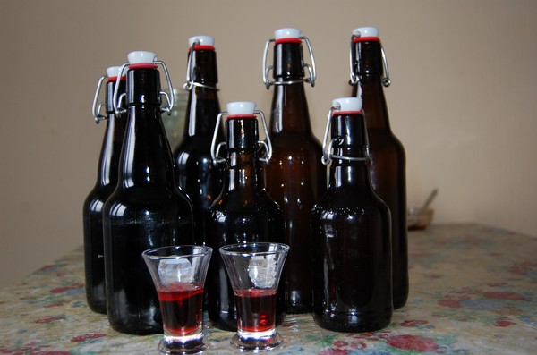 Vino de la grosella en el hogar: negro, blanco, rojo, sin levadura y con ellos. Recetas sencillas y tradicionales de vino de casa color grosella