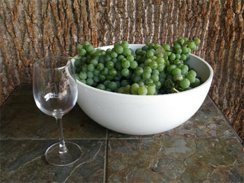 Receta de vino de la casa de uvas verdes Cómo hacer vino a partir de uvas verdes