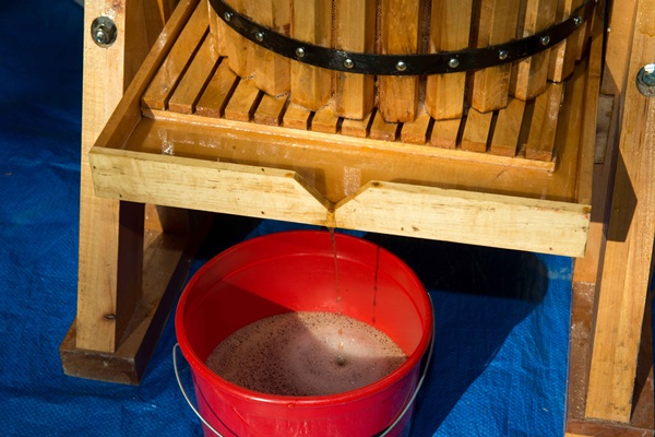 Vino casero de manzanas