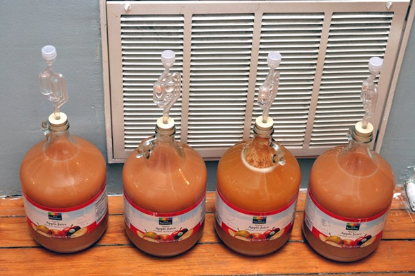 Vino casero de manzanas