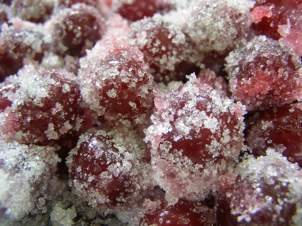 Cereza para el invierno - recetas - mermelada con semillas y deshuesadas, cinco minutos, mermelada, gelatina sin gelatina, compota de cereza