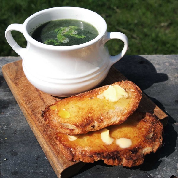 Deliciosa sopa de ortiga jugosa