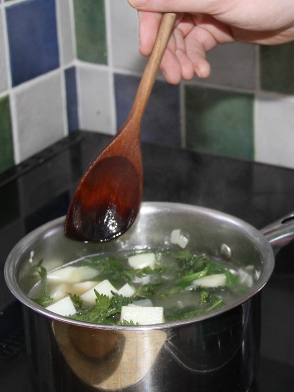 Deliciosa sopa de ortiga jugosa