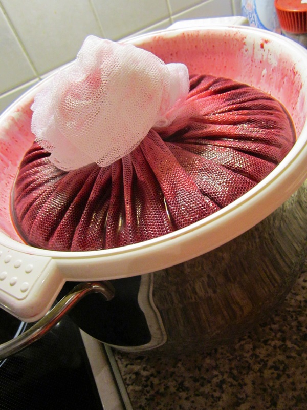 Deliciosa gelatina de grosella negra - recetas