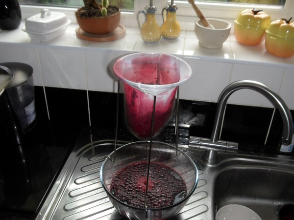 Deliciosa gelatina de grosella negra - recetas