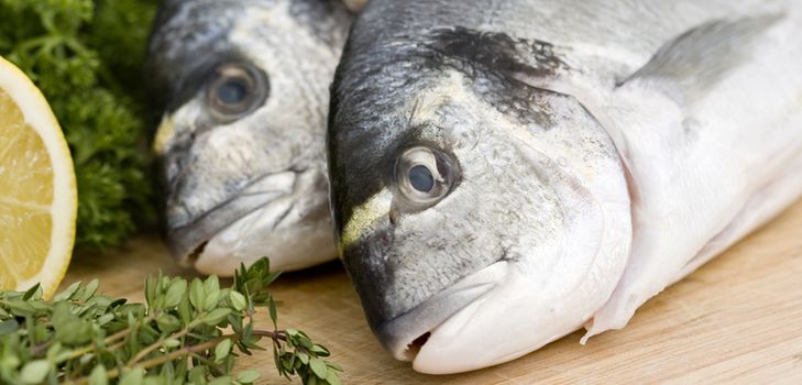 Pescado enlatado casero