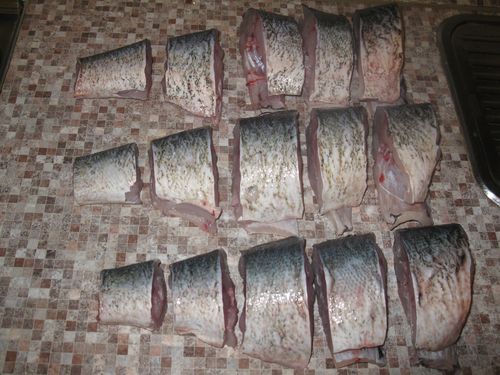 Pescado enlatado casero