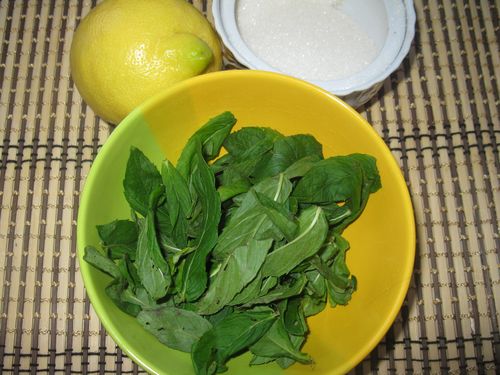 Cosecha de menta para el invierno. Cómo secar y congelar la menta para el invierno