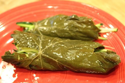 La receta para cosechar hojas de parra para dolma Cómo saltear hojas de vid para dolma