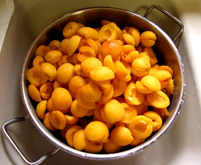 Billets de albaricoques para el invierno