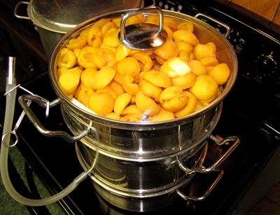 Billets de albaricoques para el invierno