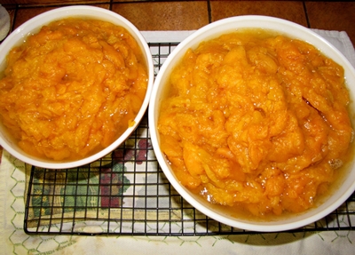 Billets de albaricoques para el invierno