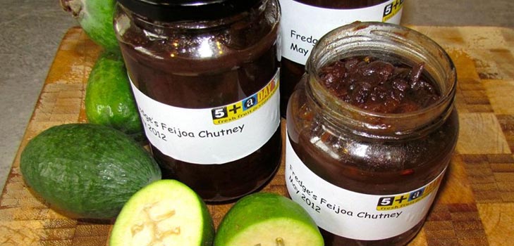 Los espacios en blanco de feijoa para el invierno, las mejores recetas con una foto