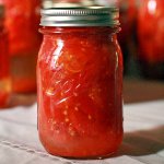 Espacios en blanco de tomates para el invierno