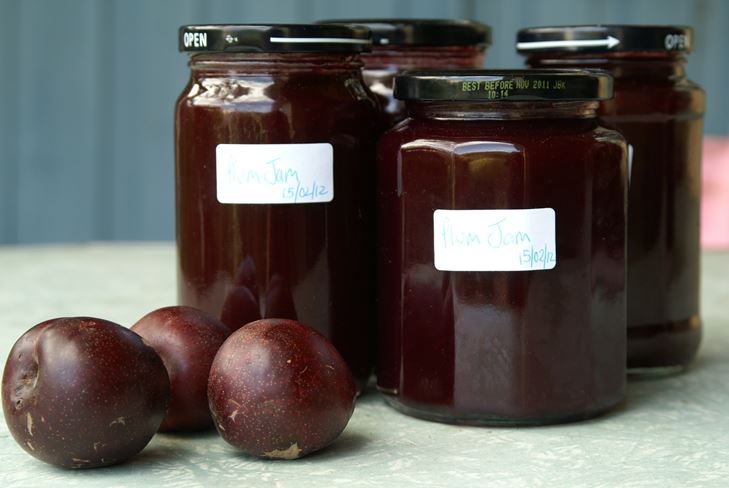 Espacios en blanco de ciruelas para el invierno - recetas de fotos