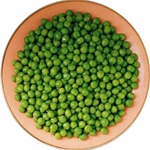 Espacios en blanco de guisantes para el invierno