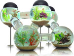 Diseño de interiores: acuario Diseño de interiores: acuario