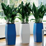 Phytodesign interior Phytodesign interior