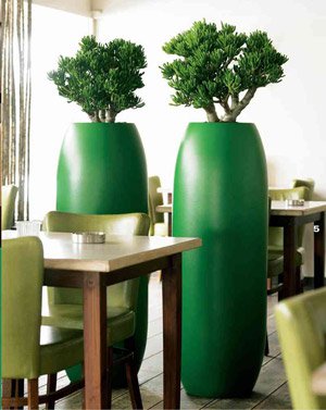 Phytodesign interior Phytodesign interior