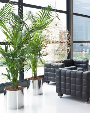 Phytodesign interior Phytodesign interior