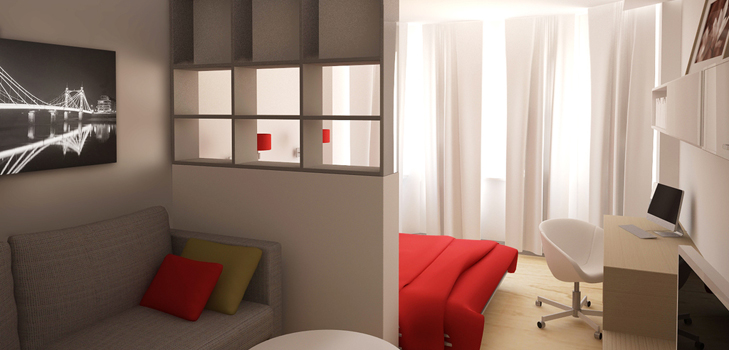 Sala de estar y dormitorio en una habitación (foto)