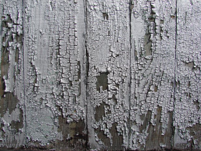 Cómo eliminar pintura vieja de un árbol