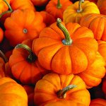 ¿Por qué es útil la calabaza?