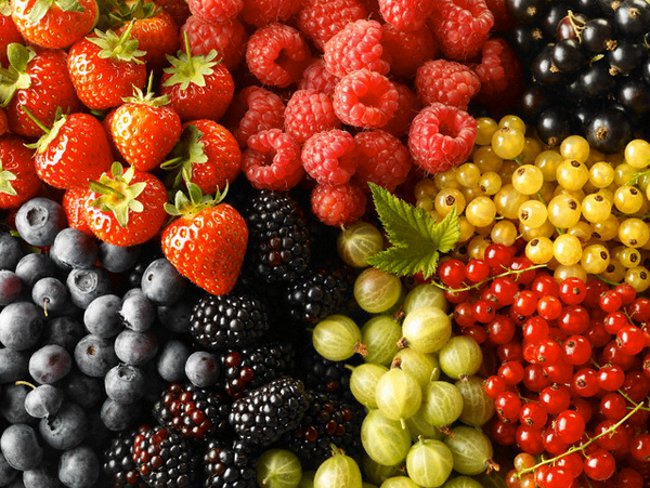 Propiedades de Berry Propiedades de Berry