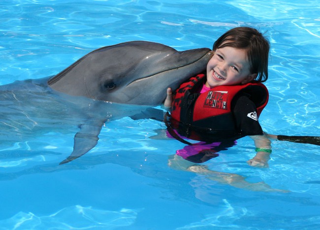 Terapia con delfines: bañarse con delfines
