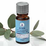 Aceite esencial de eucalipto Aceite esencial de eucalipto