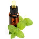 Aceite esencial de menta Aceite esencial de menta